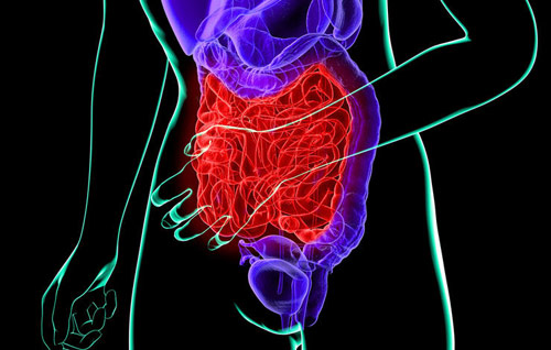 bladder cancer symptoms — blood in urine, urinary urgency, and pelvic pain as the main warning signs of bladder cancer