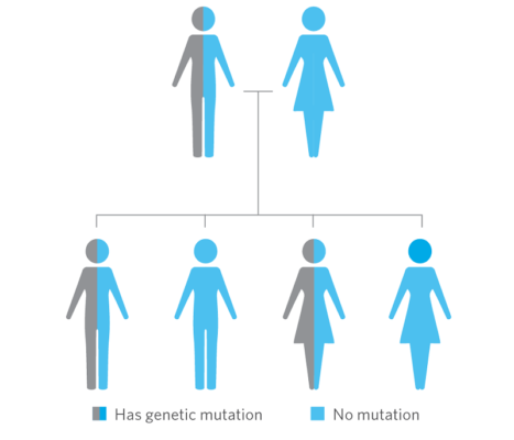 Cancer and family history hereditary risk BRCA Lynch syndrome genetic counseling