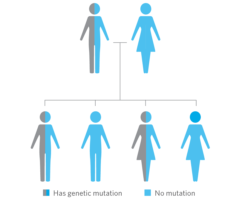 Cancer and family history hereditary risk BRCA Lynch syndrome genetic counseling