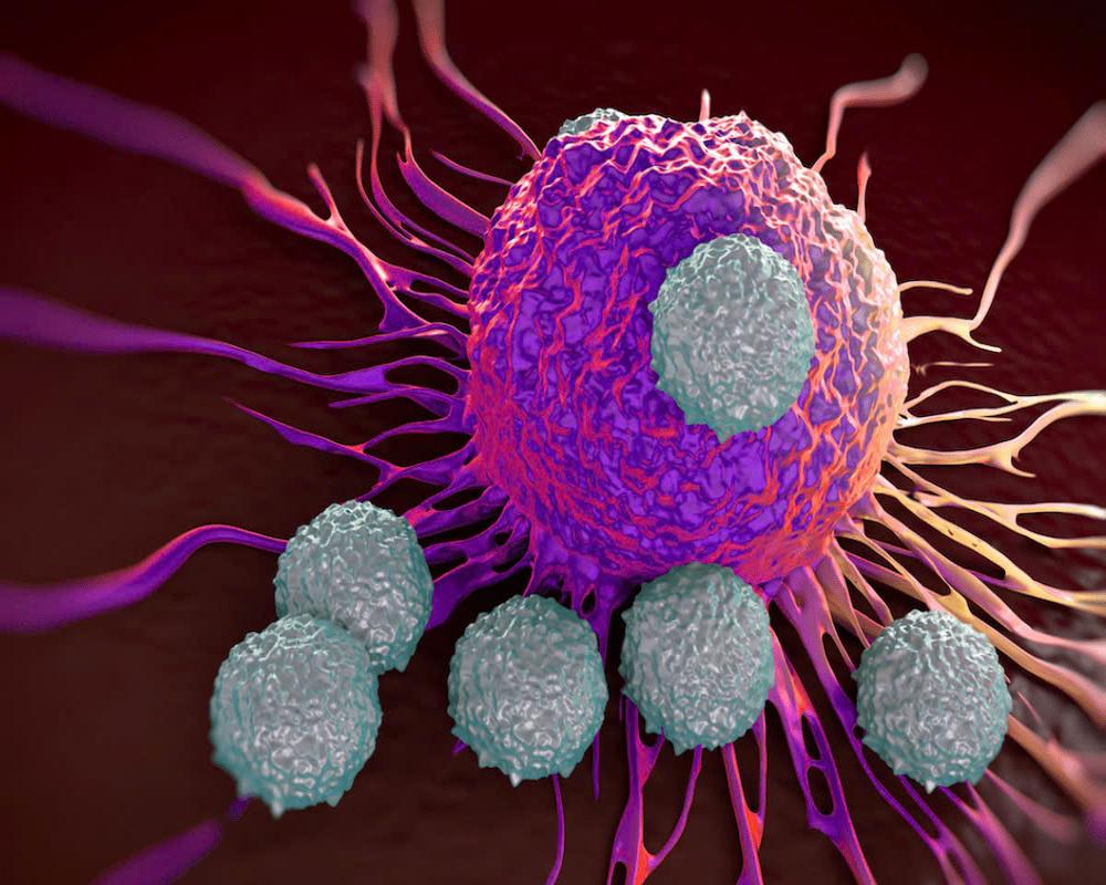 Diagram showing immune cells attacking cancer cells in the tumor microenvironment