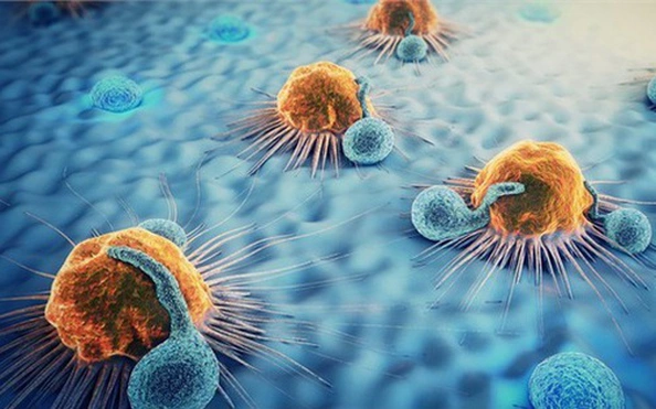 cancer immunotherapy CAR-T cell therapy checkpoint inhibitor immune system