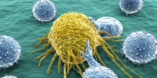 Cancer second opinion consultation at a major cancer center with specialist oncologist reviewing pathology results