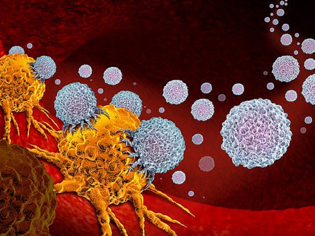 Cancer staging diagram showing TNM system with T N and M categories for tumor assessment