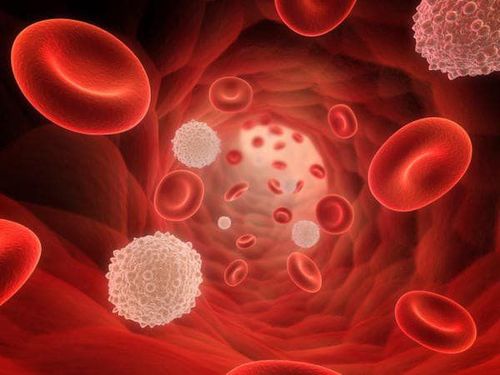 chemotherapy blood test CBC monitoring nadir