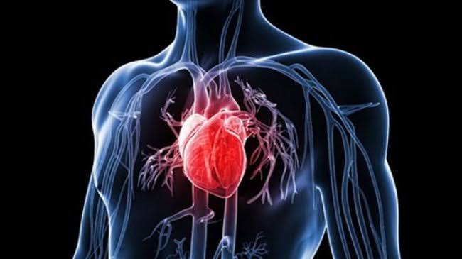 Illustration showing common heart problems in adults including coronary artery disease and heart failure