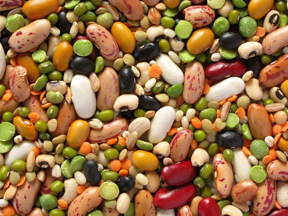 Colorful array of cancer-preventive foods including broccoli, berries, tomatoes, garlic, and whole grains