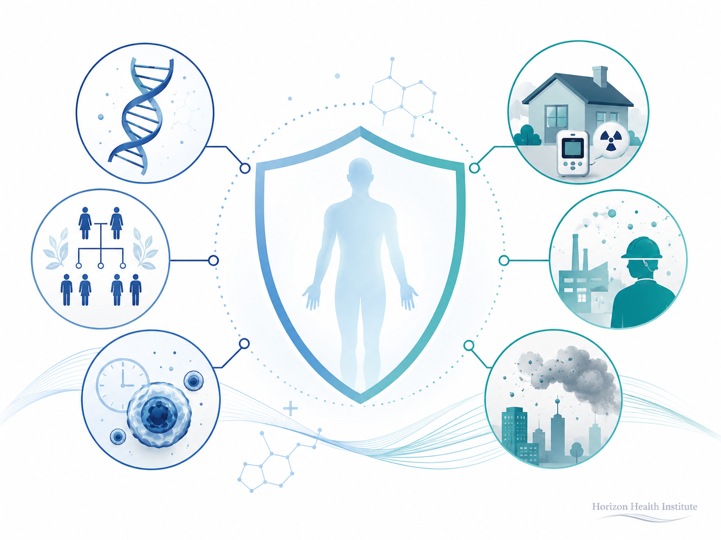 Genetic environmental and age related cancer risk factors explained