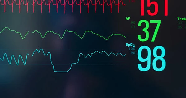Heart rate monitor showing resting heart rate as one of the key heart health numbers every adult should know