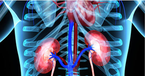 high blood pressure kidney health hypertension chronic kidney disease CKD vicious cycle