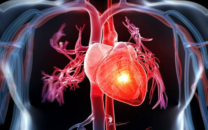 Diagram showing how the heart works with four chambers and circulation pathways