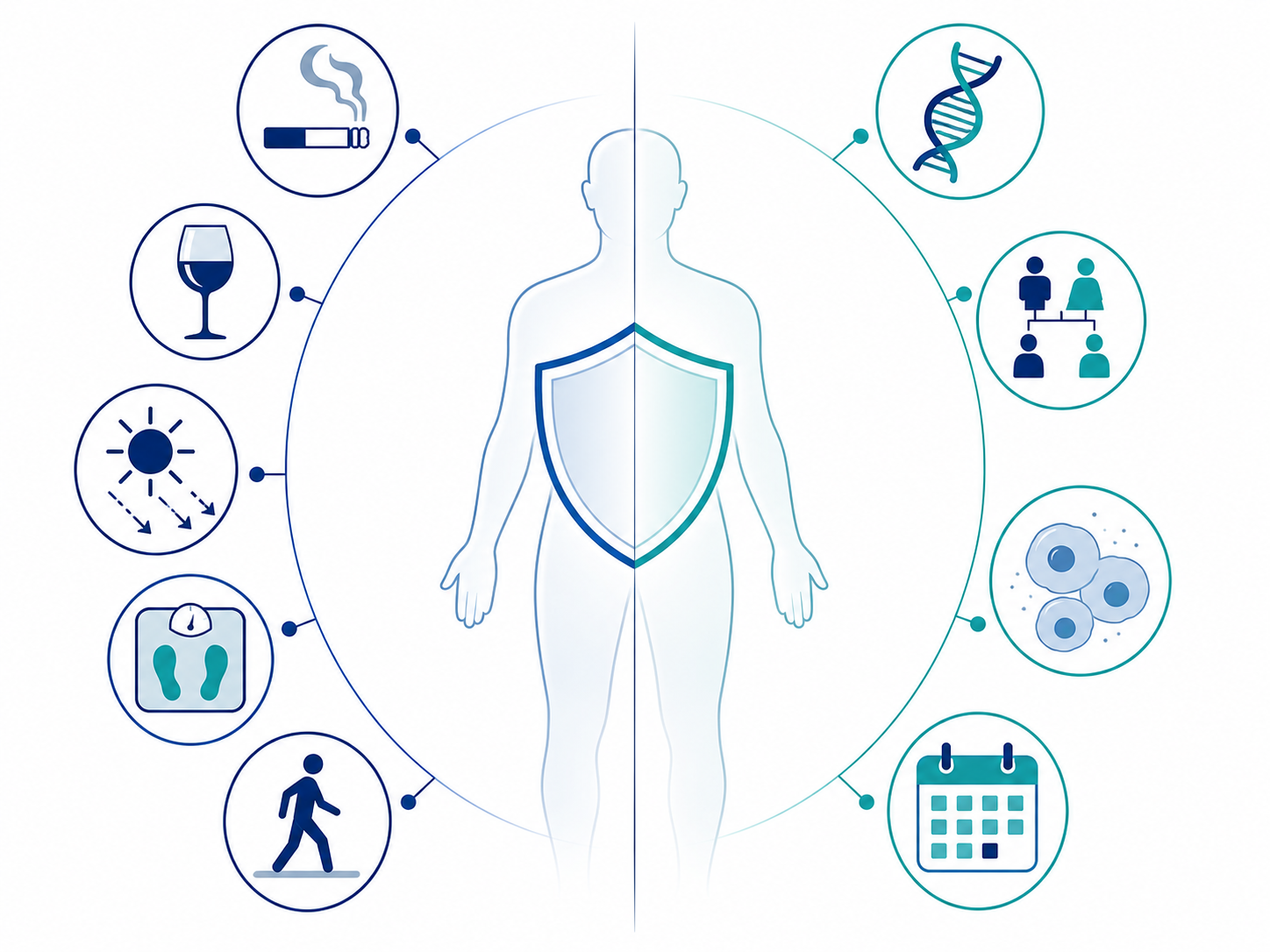 Modifiable and nonmodifiable cancer risk factors explained visually