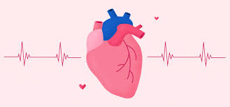 Heart block and pacemaker therapy for slow heart rate