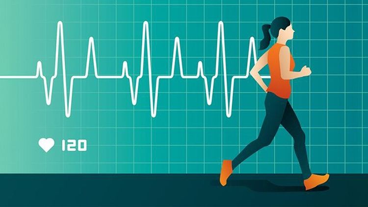 Person checking resting heart rate by measuring pulse at the wrist showing normal cardiovascular health