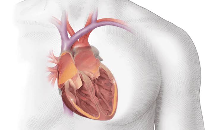 Atrial fibrillation stroke risk from blood clot forming in left atrial appendage causing cardioembolic stroke