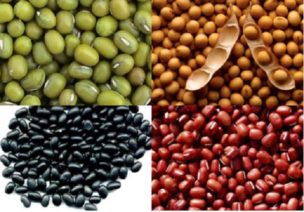 legume fiber and gut bacteria — lentils feeding beneficial microbiome bacteria that improve insulin sensitivity