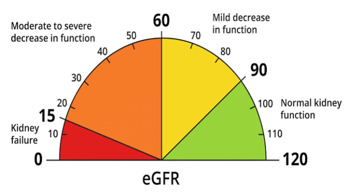 eGFR kidney function diabetes — glomerular filtration rate diagram showing CKD stages from normal above 90 to kidney failure below 15 mL/min/1.73m² for diabetes monitoring