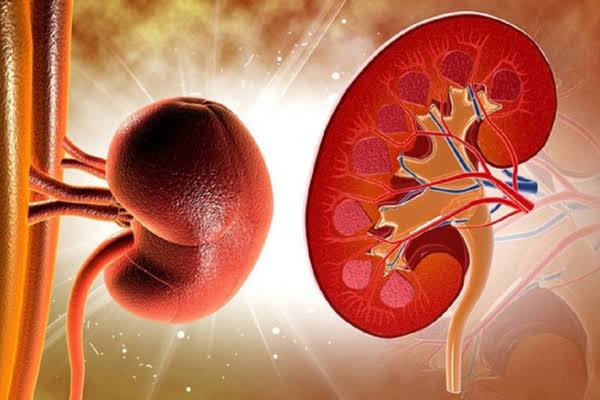 frequent urination caused by high blood sugar through osmotic diuresis mechanism in kidneys