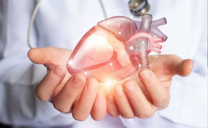 How to lower heart disease risk — healthy food plate and lifestyle factors for cardiovascular prevention