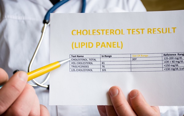 Lipid panel components — LDL HDL triglycerides and total cholesterol breakdown