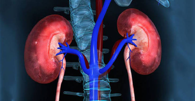 Guide to acute kidney injury recovery timeline and long-term risk of CKD after AKI episodes