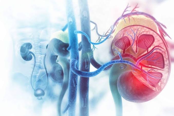 Diagram showing AKI on CKD overlap and the AKI to CKD continuum with shared risk factors and compounding effects