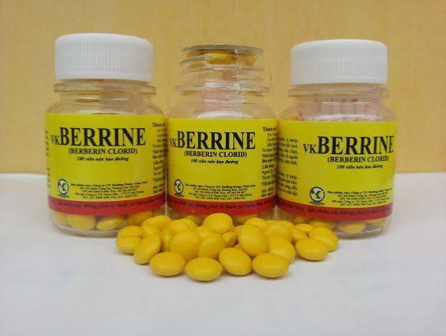 berberine supplement capsules with the plant source Berberis vulgaris showing yellow root
