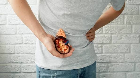 blood in urine possible causes and when to seek care hematuria guide