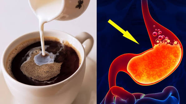 coffee and digestion caffeine chlorogenic acid gastric motility gut microbiome polyphenols bowel movement