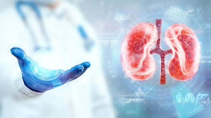 Treatment guide for diabetic kidney disease showing SGLT-2 inhibitors ACE inhibitors GLP-1 receptor agonists and finerenone with evidence from clinical trials