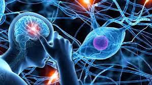 diabetic neuropathy symptoms — illustration of peripheral nerve damage in feet and hands showing burning tingling and numbness patterns typical of distal symmetric polyneuropathy