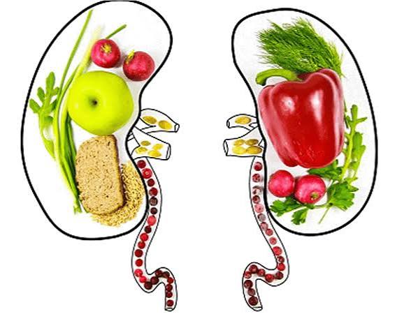 diet and kidney stone prevention — healthy food choices including low-sodium vegetables, dairy, and adequate fluids arranged to show foods that reduce kidney stone risk