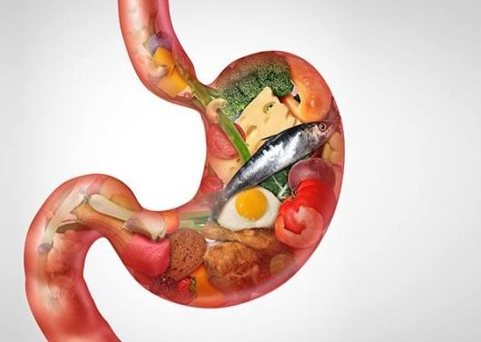 brush border enzymes lactase sucrase maltase intestinal wall small intestine digestion absorption lactose intolerance