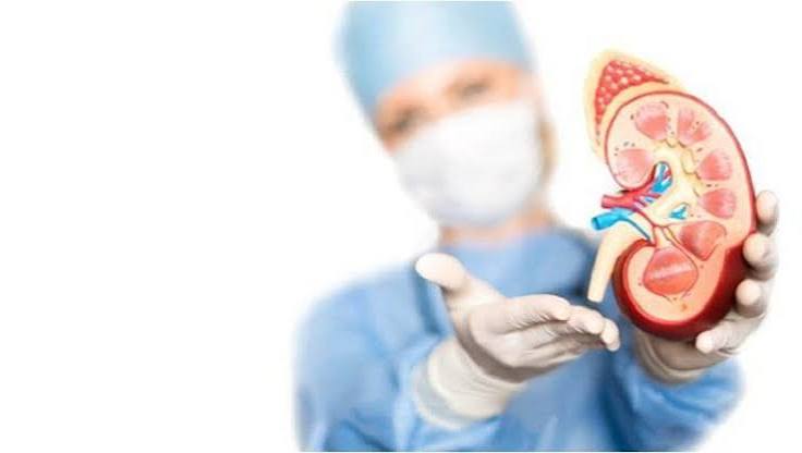 early chronic kidney disease monitoring appointment reviewing lab results eGFR uACR
