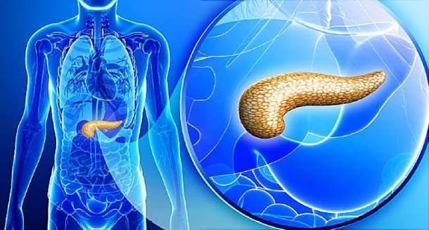 PERT pancreatic enzyme replacement therapy Creon capsules lipase amylase protease dosing meals EPI treatment