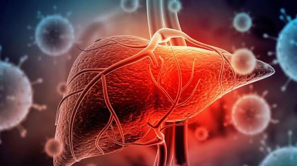 fatigue-and-liver-health-body — liver function tests and sleep assessment for liver-related fatigue evaluation