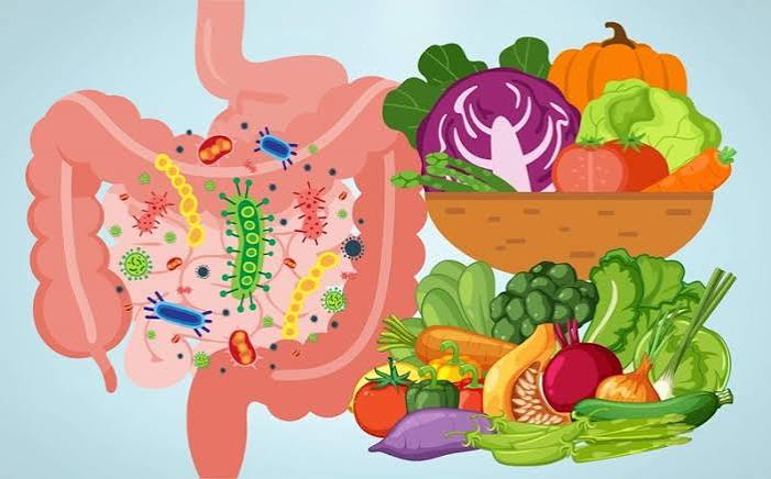 fiber digestive health soluble insoluble fibre gut microbiome butyrate colorectal cancer constipation transit time
