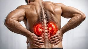 flank pain anatomy cva kidney ureter hydronephrosis diagram