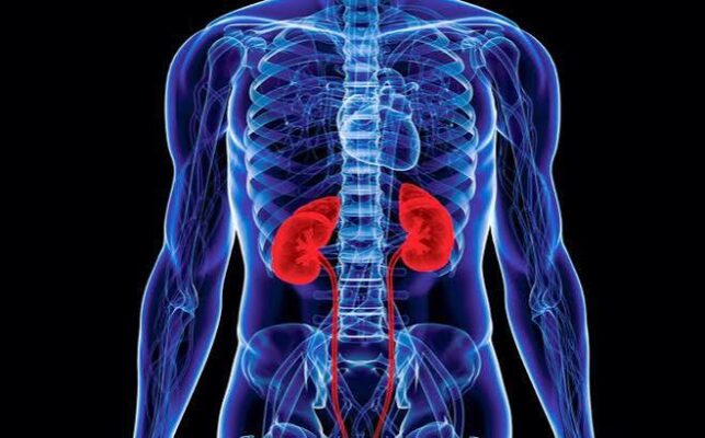 fluids and kidney disease — glass of water and urine output measurement container representing fluid management in CKD