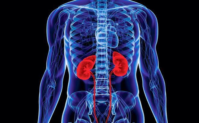 fluids and kidney disease — glass of water and urine output measurement container representing fluid management in CKD