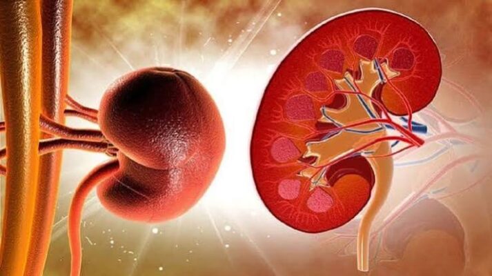 frequent urination possible kidney and urinary causes guide