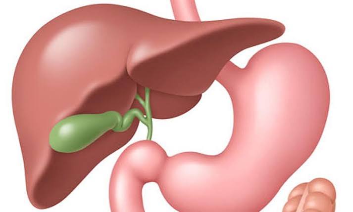 gallbladder health treatment laparoscopic cholecystectomy ERCP bile duct stones diagnosis ultrasound LFTs