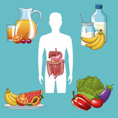 Digestive health grocery shopping basket filled with vegetables, fruits, whole grains, legumes, yoghurt, oily fish and fermented foods