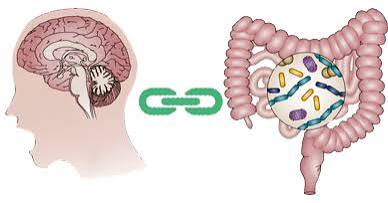 gut microbiome bacteria short-chain fatty acids vagus nerve serotonin mental health psychobiotics stress IBS