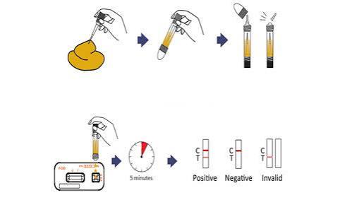 h-pylori-test-what-it-shows-body — H pylori eradication triple therapy antibiotic resistance post-treatment testing