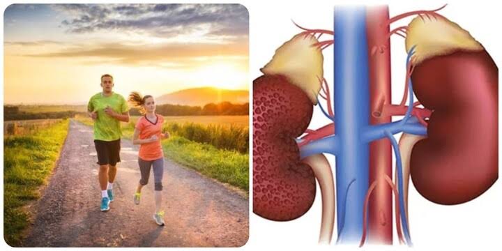 body composition visceral fat waist circumference kidney risk BMI obesity nephropathy