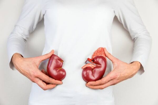 healthy weight kidney health obesity CKD weight loss kidney protection