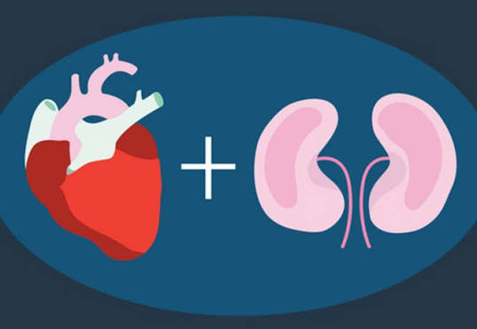 Heart disease and kidney health — cardiorenal syndrome showing how heart failure and CKD worsen each other