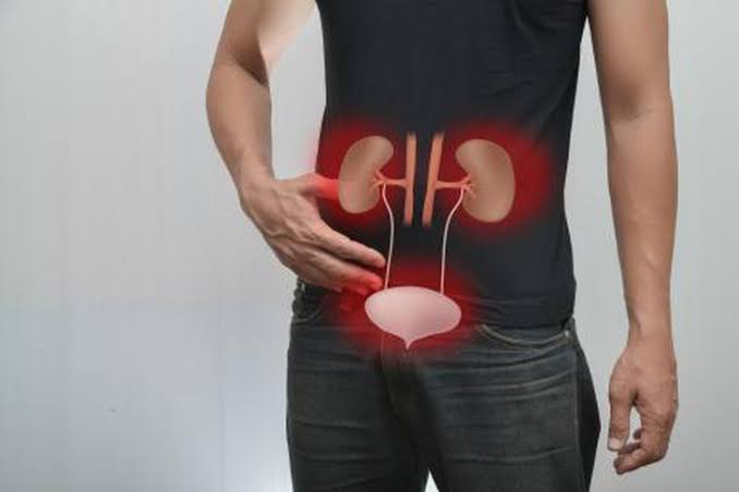 Heart and kidney disease treatment — SGLT-2 inhibitors protecting both the heart and kidneys simultaneously in cardiorenal syndrome