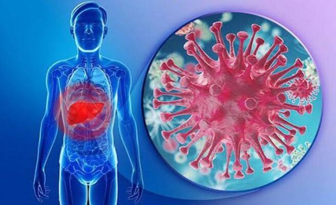 hepatitis B what adults should know HBV chronic infection symptoms treatment antiviral cirrhosis liver cancer