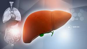 hepatitis B vs hepatitis C comparison HBV HCV transmission vaccine treatment cure chronic liver disease